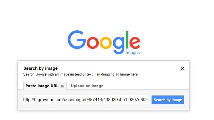 Google Image Search2
