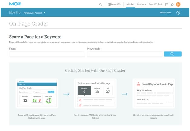 Moz Pro Page Grader